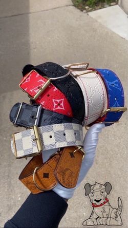CUSTOM DOG COLLARS