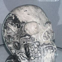 Hand Carved PISCASSO JASPER CRYSTAL SKULL!