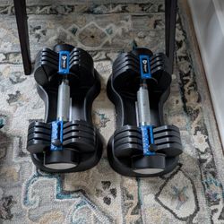 Dumbbell Weights Adjustable