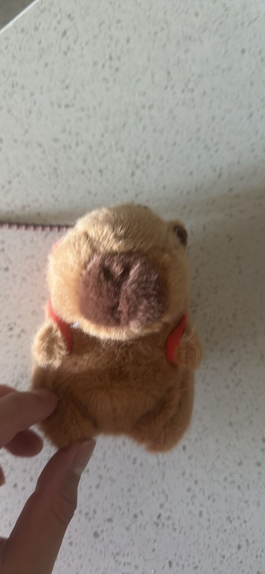 Capibara