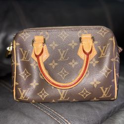 Louis Vuitton Purse