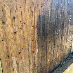 Text For More Information