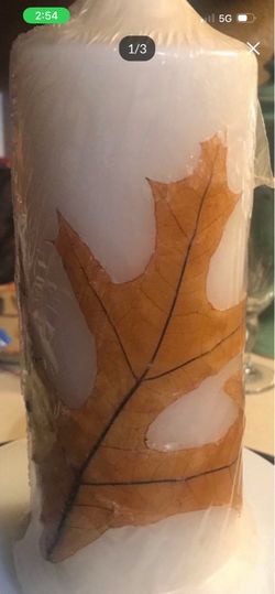 New Leaf  EmBedded Candle