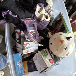 Bin Full of Halloween / Seasonal items