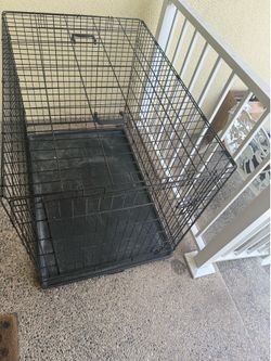 Large Dog Kennel