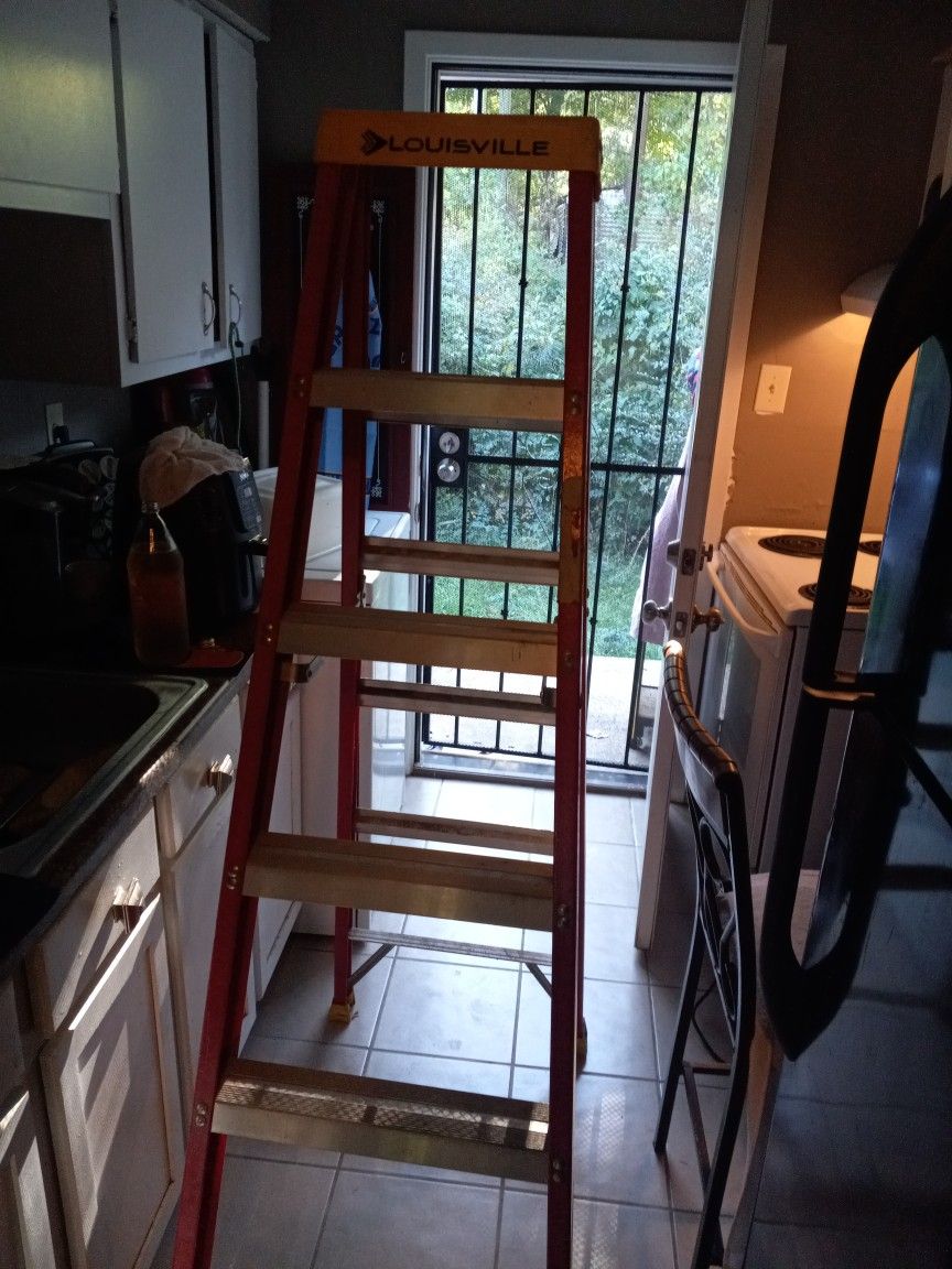 6 Foot Ladder Perfect Condition