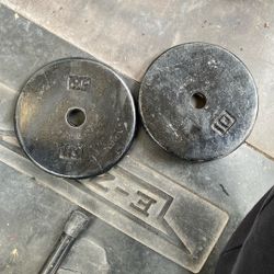 10LB (2) CAP Weights