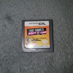 Tony Hawk's American Sk8land Nintendo Ds