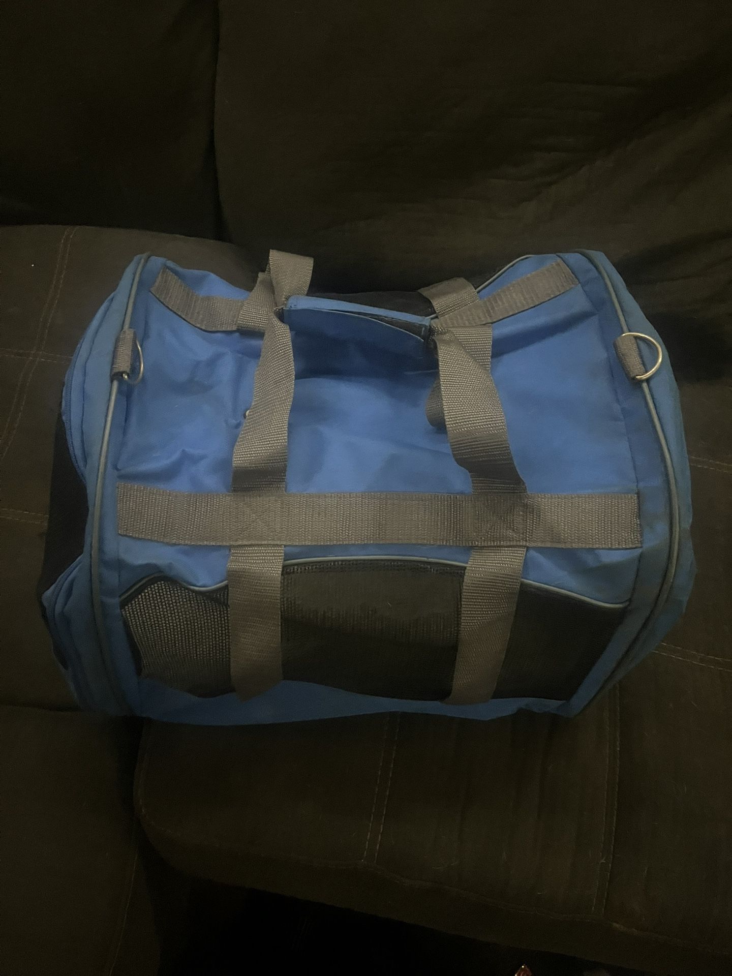 Collapsing Pet Carrier