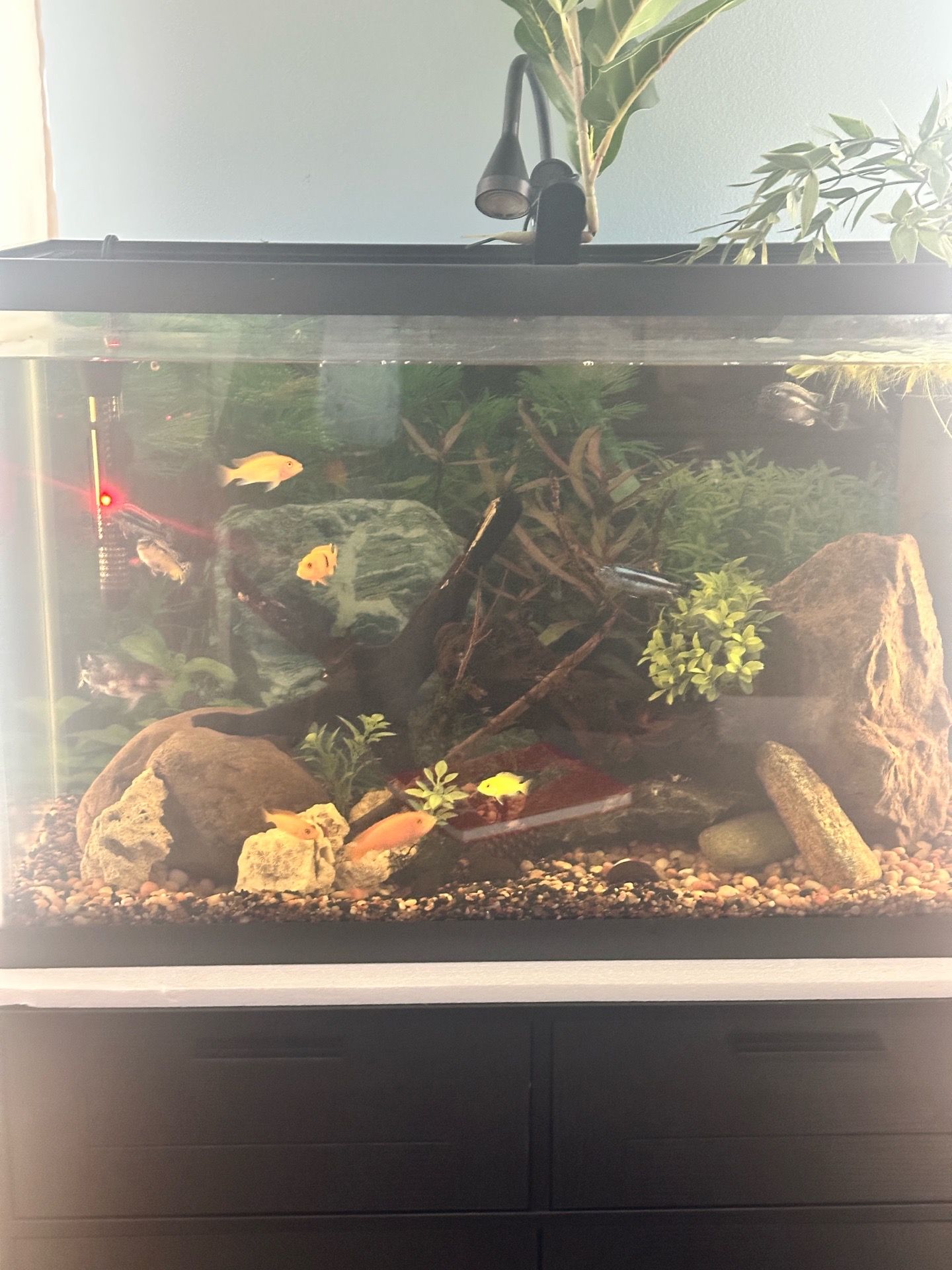 Aquarium