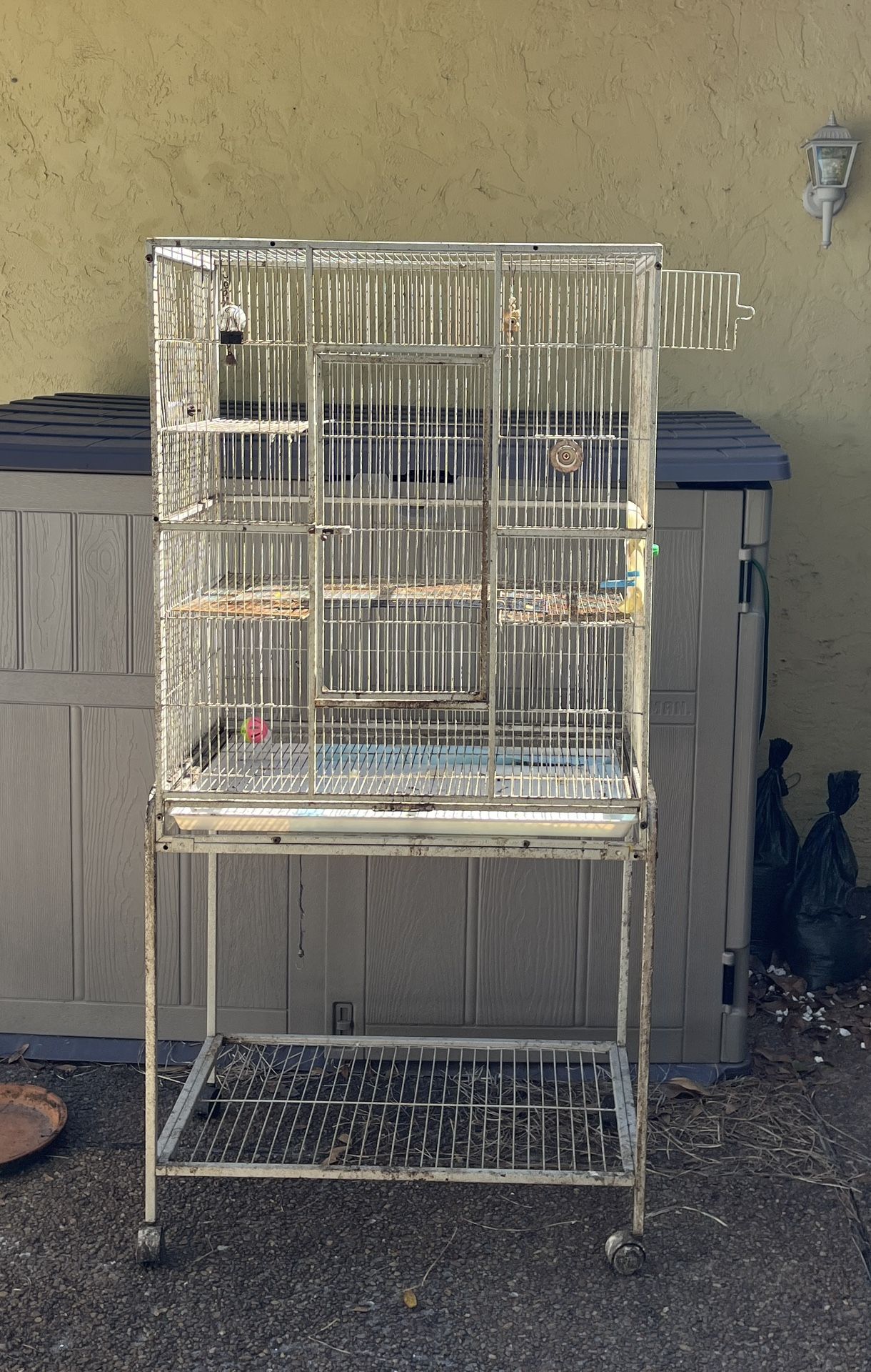 Bird Cage