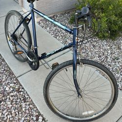 Free Spirit 10 Speed Bike