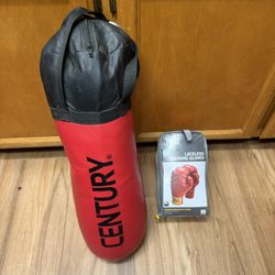 Kids Punching Bag And Gloves 
