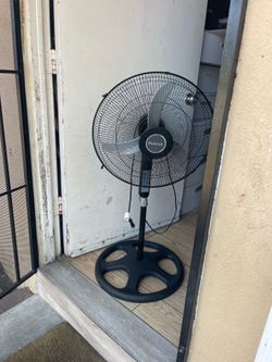 Fan