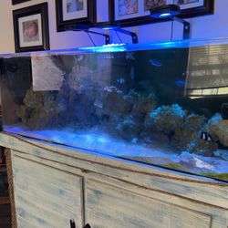 90 Gallon Acrylic Salt Water Aquarium 