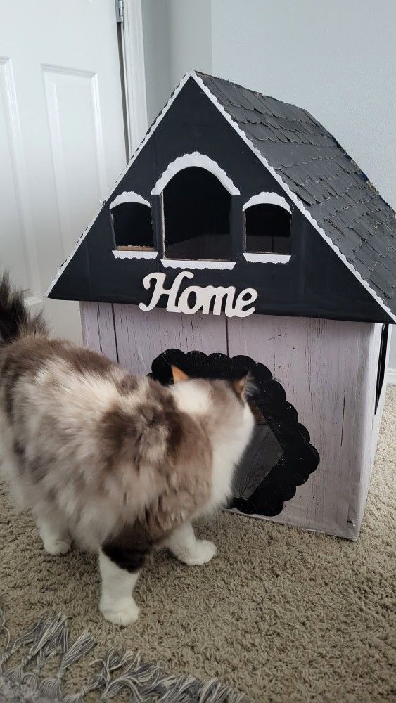 Kitty Cat Condo Or Commode