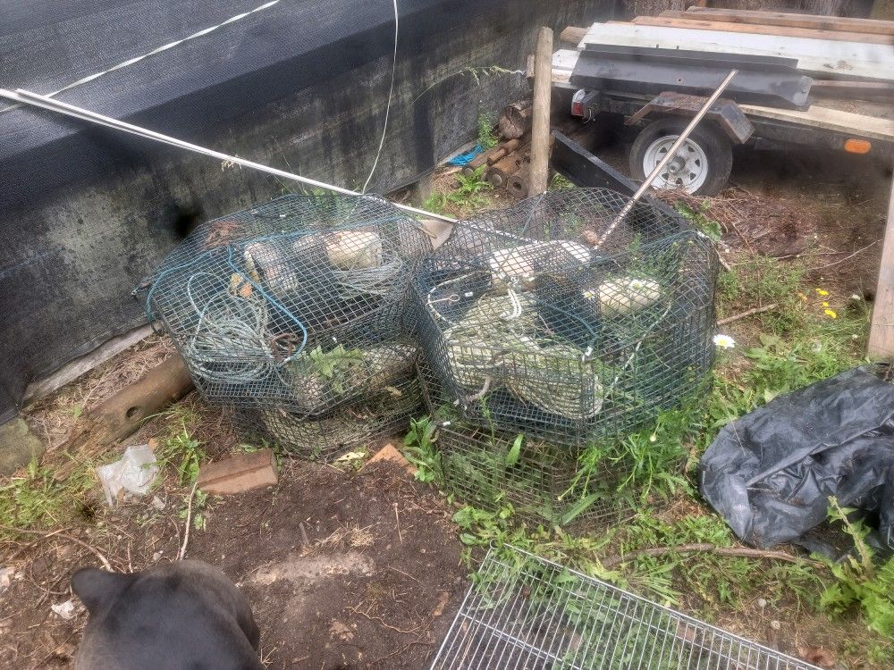 4 Shrimp Pots Line Bouys And Weight Ready To Go