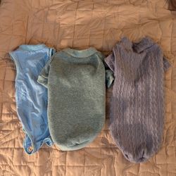 Set of 3 cat shirts/onesies