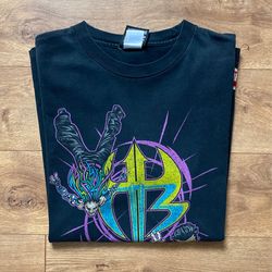 WWE Vintage Hardy Boys Tee