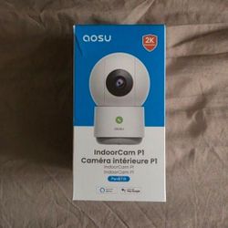 AOSU IndoorCam P1 