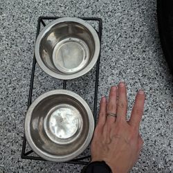 Dog Bowl Set 