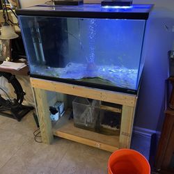 65 Gallon Fish Tank Aquarium