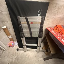 Dezex Telescoping Ladder 16.5ft Stainless Steel Extension Ladders