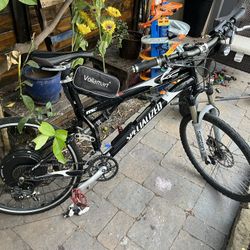 Specialized Motorized 