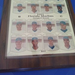 Florida Marlins Photo