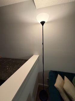 2 Tall Black Floor Lamp with Globe Shade