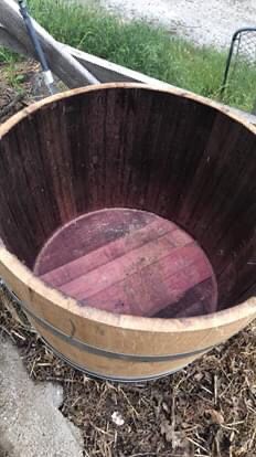 Wine barrel planter 🌺