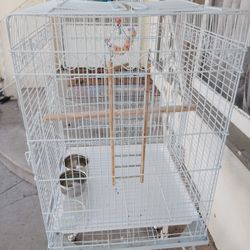 Bird Cage 