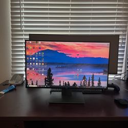 Dell Ultrasharp 25 Inch Monitor