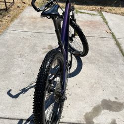 Trek Roscoe 6 Purple 29in