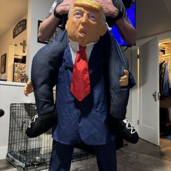 Trump Costume