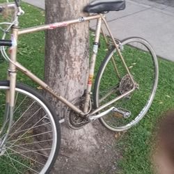 Classic Univega Bike