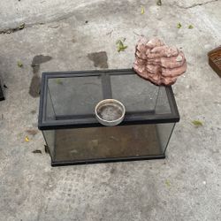 Glass Tank
