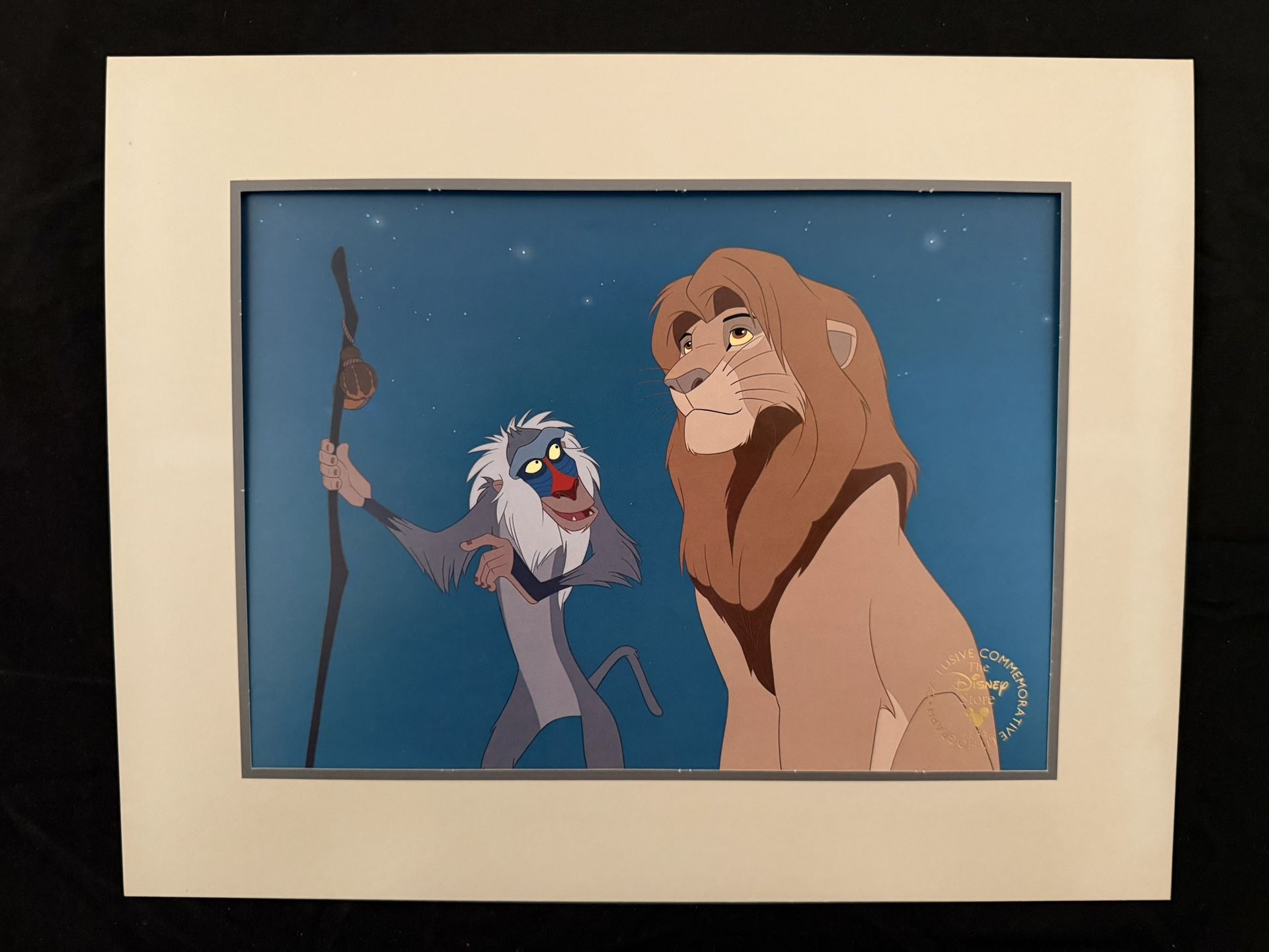 Disney Store The Lion King
