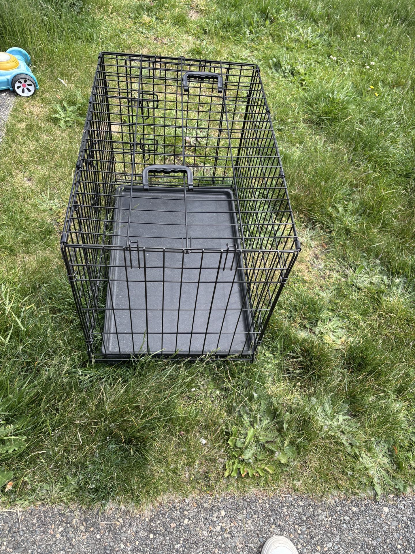 Medium Sized Dog Kennel