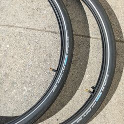 Schwalbe 28x2.0 50-622 Balloon Fat Frank