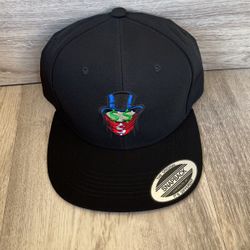 SnapBack Hat $20 Each