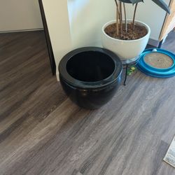 Black Plant Pot 