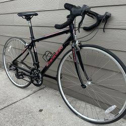 Aluminum Bike DAWES Sz 26