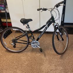 Crossroads elite online bike