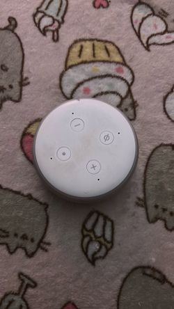 Alexa