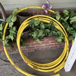 1 Inch IPS gas Yellow - 35 Feet