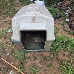 Large Dog House