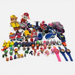HUGE Paw Patrol Lot 60+ Vehicles, Figures, Ryder, Chase, Sky, Rocky & More 10lbs