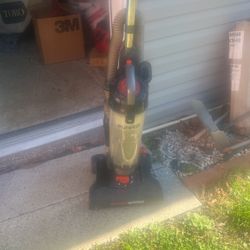 isada nuen estado  profesional