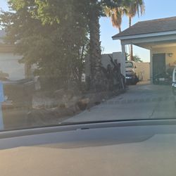 Free Mesquite Wood